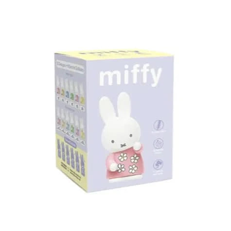 MIFFY Pen Tray Organizer series Blind Box