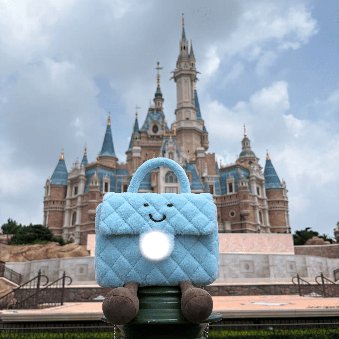 Smiley Fluff CC Bag